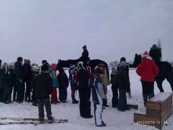 kulig15