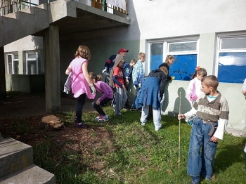 sprzsw03