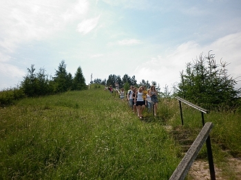 suw_36