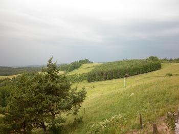 suw_41