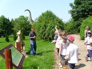 dino_30