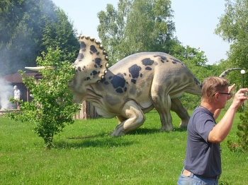 dino_31