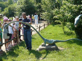 dino_56