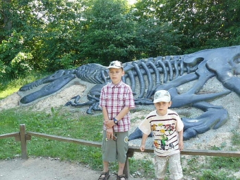 dino_65