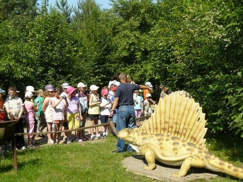 dino_66
