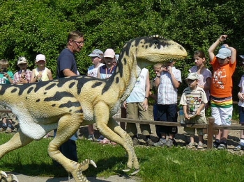 dino_70