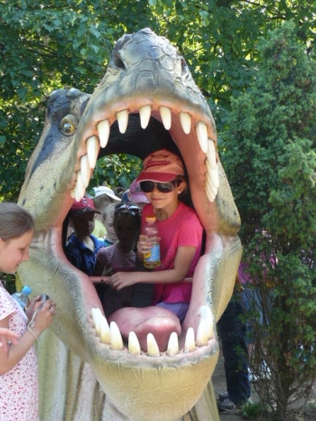 dino_72
