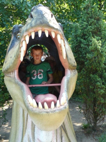 dino_77