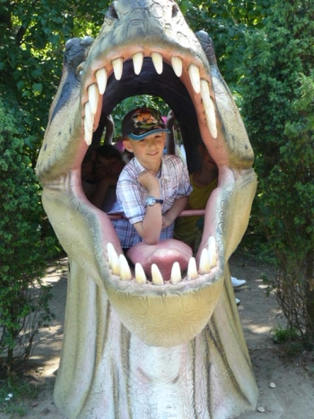 dino_78