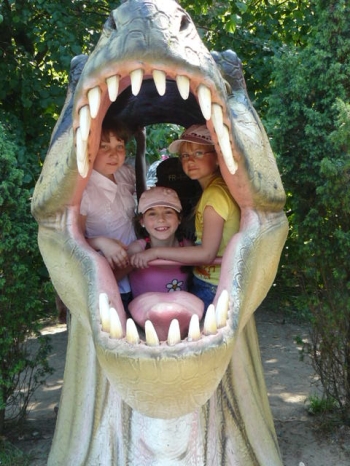 dino_79
