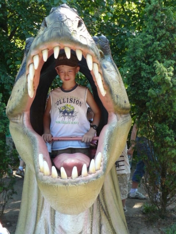 dino_80