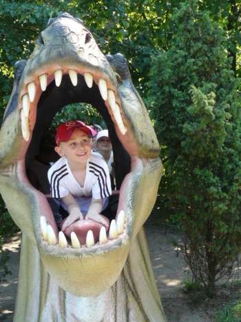 dino_81