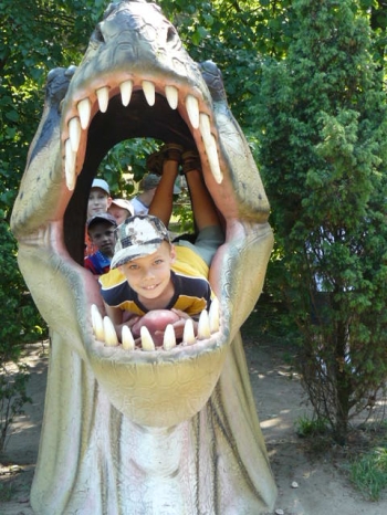 dino_90