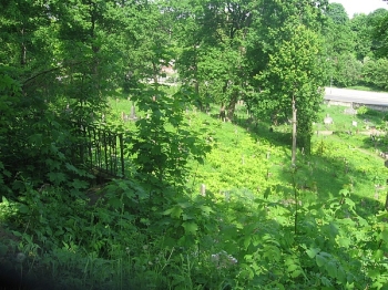 wilno11_099
