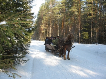 kulig11_08