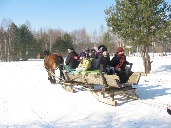 kulig11_25