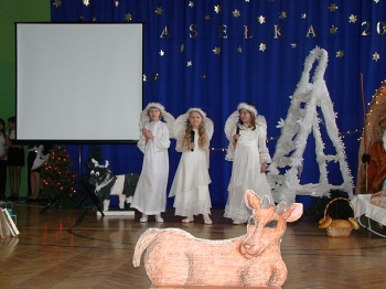 jaselka11_023