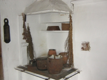 drozd10_sp19