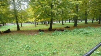 bialow10_sp02