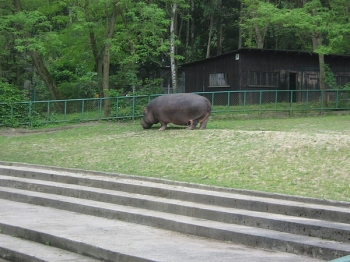 3miasto_40