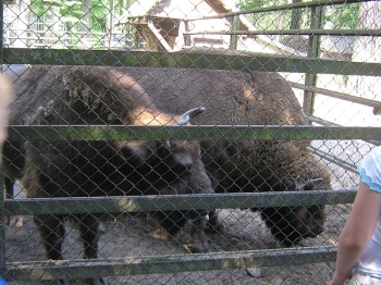wyprawa1_20