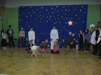 1semgim10_20