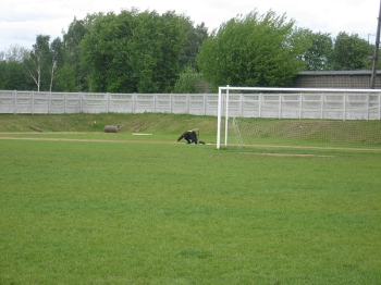 fest09_110