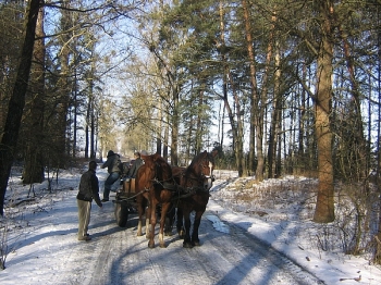 kulig4_02
