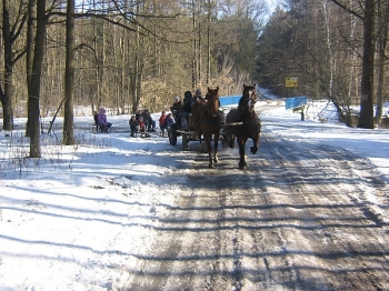 kulig4_04