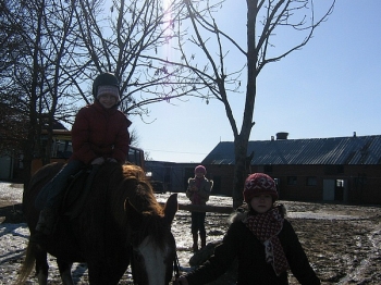 kulig4_16