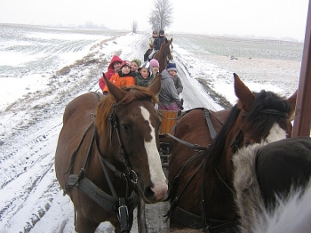 ferie_45