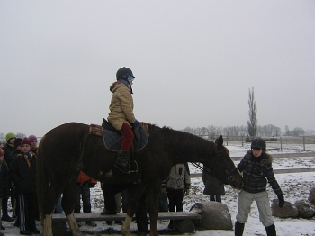 ferie_53