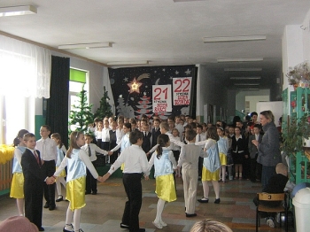 dbabci_01