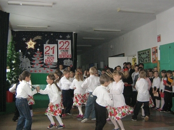 dbabci_11