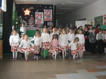 dbabci_13