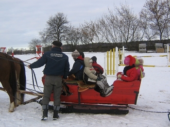 kulig16