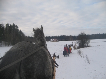 kulig20
