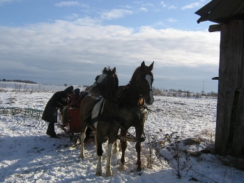 kulig31