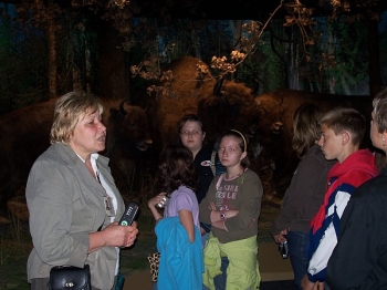 bialowieza09