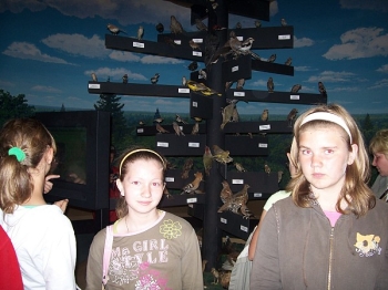bialowieza10