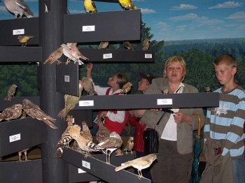 bialowieza11