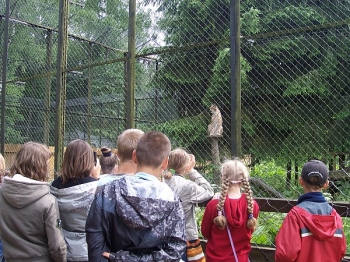 bialowieza14