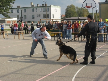 fest07173