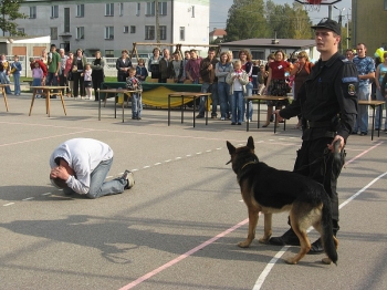 fest07174