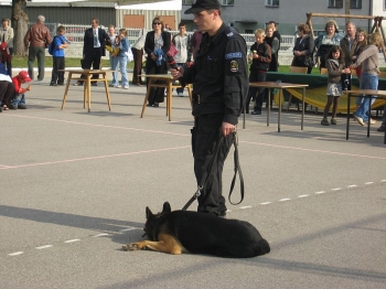 fest07175