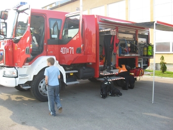 fest07178