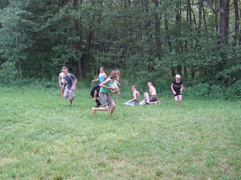 1bspk095
