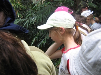 wars09