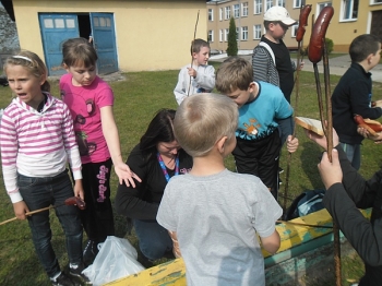 zielszkol17