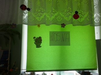 dwiosny23